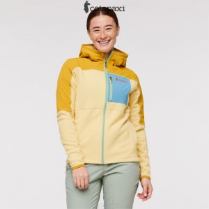 Cotopaxi Abrazo Hooded Full-Zip Fleece Jacket Amber/Wheat | ZE54-Y0-SI