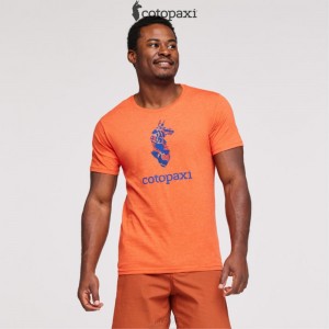 Cotopaxi Altitude Llama T-Shirt Canyon | JG83-G0-ZL