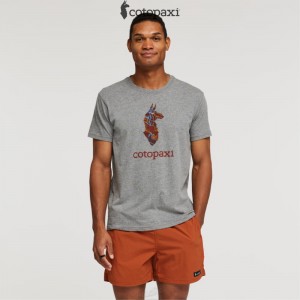 Cotopaxi Altitude Llama T-Shirt Heather Grey | IY48-F3-FM