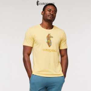 Cotopaxi Altitude Llama T-Shirt Wheat | OC05-J6-HL