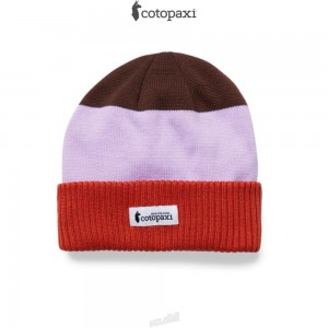 Cotopaxi Alto Beanie Spice/Thistle | OA91-C9-DV