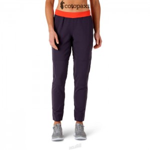 Cotopaxi Baja Pant Graphite | AY01-N6-AR