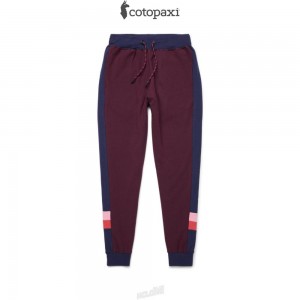 Cotopaxi Bandera Jogger Wine | VP55-C5-WJ