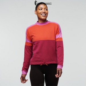 Cotopaxi Bandera Sweatshirt Canyon/Raspberry | OD86-O8-AP