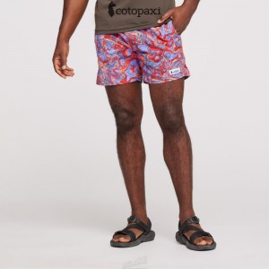 Cotopaxi Brinco Short - Print Amethyst/Canyon | RY71-T5-TK