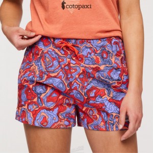 Cotopaxi Brinco Short - Print Amethyst/Canyon | QG21-C9-VP