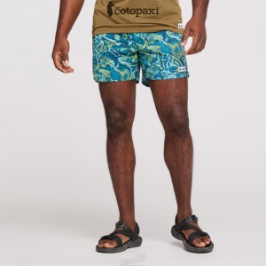 Cotopaxi Brinco Short - Print Gulf/Kelp | YD46-C5-RJ