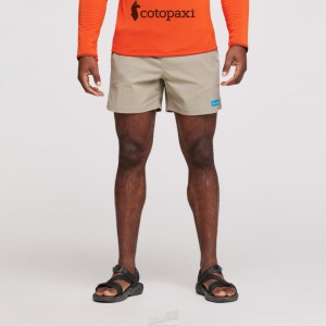 Cotopaxi Brinco Short - Solid Greenery | MH38-M3-GX