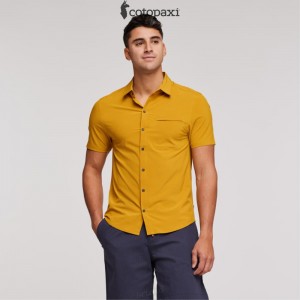 Cotopaxi Cambio Button Up Shirt Amber | OK07-A7-DP