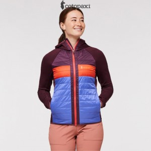 Cotopaxi Capa Hybrid Insulated Hooded Jacket Wine/Amethyst | FE88-T2-QP