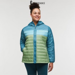 Cotopaxi Capa Insulated Hooded Jacket Drizzle/Aspen | VG77-U6-PD