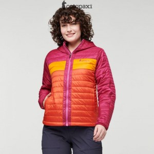 Cotopaxi Capa Insulated Hooded Jacket Raspberry/Canyon | UF08-R7-QX