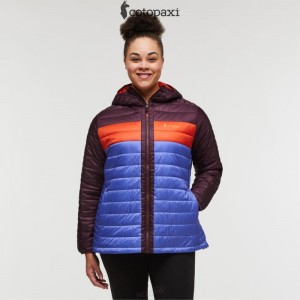 Cotopaxi Capa Insulated Hooded Jacket Wine/Amethyst | UA73-E9-GV