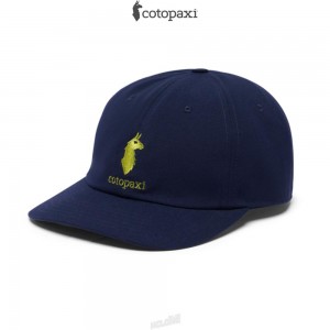 Cotopaxi Cotopaxi Dad Hat Maritime | AU92-W2-ZU