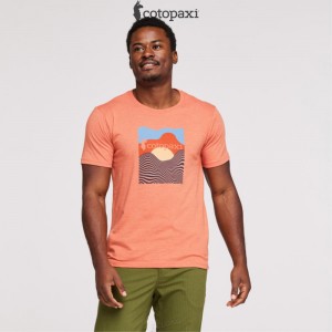 Cotopaxi Cotopaxi Vibe T-Shirt Nectar | NU74-F1-KS