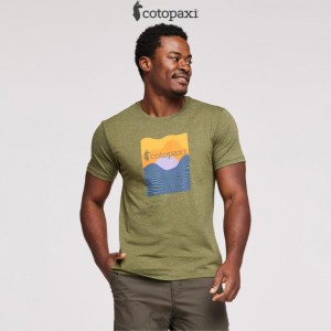 Cotopaxi Cotopaxi Vibe T-Shirt Pine | CR75-B4-DS