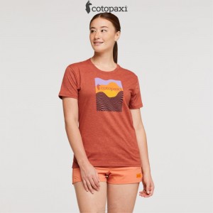 Cotopaxi Cotopaxi Vibe T-Shirt Spice | BV79-Q9-DA