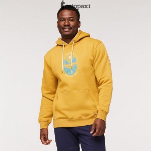 Cotopaxi Day And Night Pullover Hoodie Amber | RN09-W2-IQ