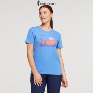 Cotopaxi Desert View T-Shirt Lupine | GS53-S3-WG