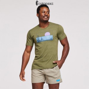 Cotopaxi Desert View T-Shirt Pine | OS21-T4-WL