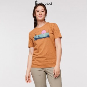 Cotopaxi Desert View T-Shirt Saddle | GK75-U9-AU