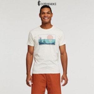 Cotopaxi Desert View T-Shirt Sea Glass | QL93-W1-FD