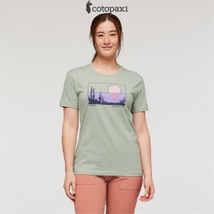 Cotopaxi Desert View T-Shirt Silver Leaf | WM98-V9-XW