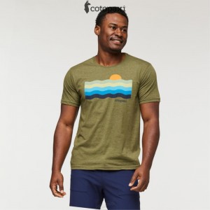 Cotopaxi Disco Wave T-Shirt Pine | CT47-B1-XK