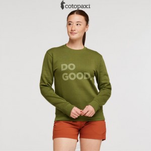 Cotopaxi Do Good Crew Sweatshirt Pine | UJ66-N7-MJ