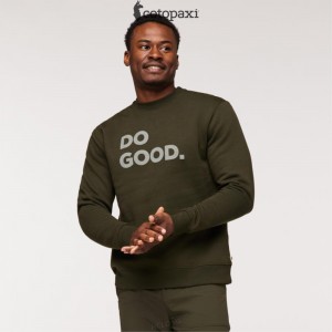 Cotopaxi Do Good Crew Sweatshirt Woods | PJ25-D4-RU