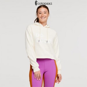 Cotopaxi Do Good Crop Sweatshirt Bone | QC53-K3-LU