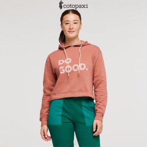 Cotopaxi Do Good Crop Sweatshirt Earthen | OB12-E7-GL