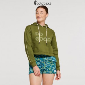 Cotopaxi Do Good Crop Sweatshirt Pine | BD02-P4-LG