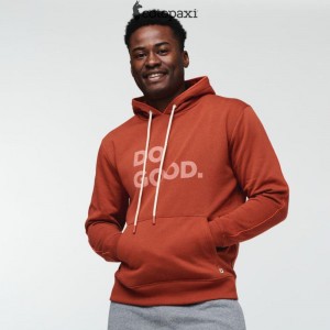 Cotopaxi Do Good Pullover Hoodie Poolside | UQ63-I7-JL