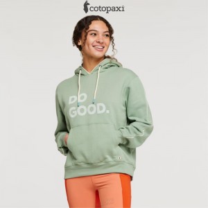 Cotopaxi Do Good Pullover Hoodie Silver Leaf | CO88-P1-HV