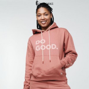 Cotopaxi Do Good Pullover Hoodie Silver Leaf | MC61-X2-NO