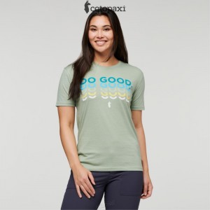 Cotopaxi Do Good Repeat T-Shirt Silver Leaf | LV83-J8-TV