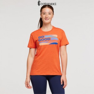 Cotopaxi Do Good Stripe T-Shirt Canyon | OG61-H1-VV