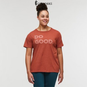 Cotopaxi Do Good T-Shirt Spice | QT70-Y6-XA