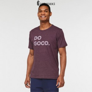 Cotopaxi Do Good T-Shirt Wine | DS41-M1-GF