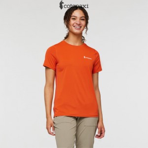 Cotopaxi Fino Tech Tee Canyon | RU83-K5-JV