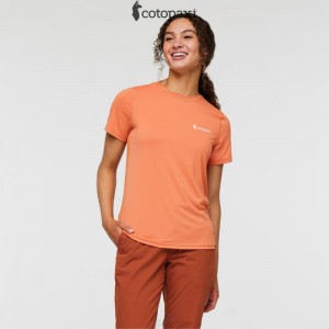 Cotopaxi Fino Tech Tee Nectar | MW51-O8-BD