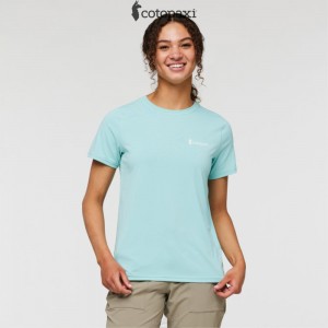 Cotopaxi Fino Tech Tee Sea Glass | BA43-E2-SS