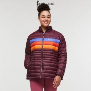 Cotopaxi Fuego Down Jacket Wine Stripes | AU55-A0-NU