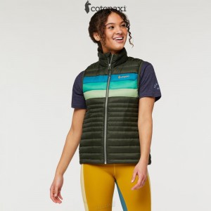 Cotopaxi Fuego Down Vest Woods Stripes | TZ57-D9-XX