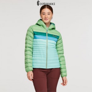 Cotopaxi Fuego Hooded Down Jacket Kelp/Sea Glass | IM44-B2-IX