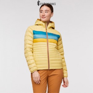 Cotopaxi Fuego Hooded Down Jacket Wheat Stripes | CL74-C1-QC