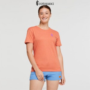 Cotopaxi Happy Day T-Shirt Nectar | JE06-A1-JN