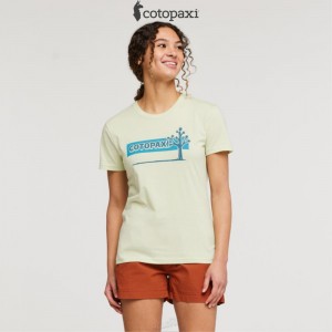 Cotopaxi Hello Desert T-Shirt Lichen | RK07-C5-FZ