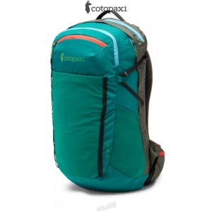 Cotopaxi Lagos 25L Hydration Pack Greenery/Iron | IV15-M1-PV